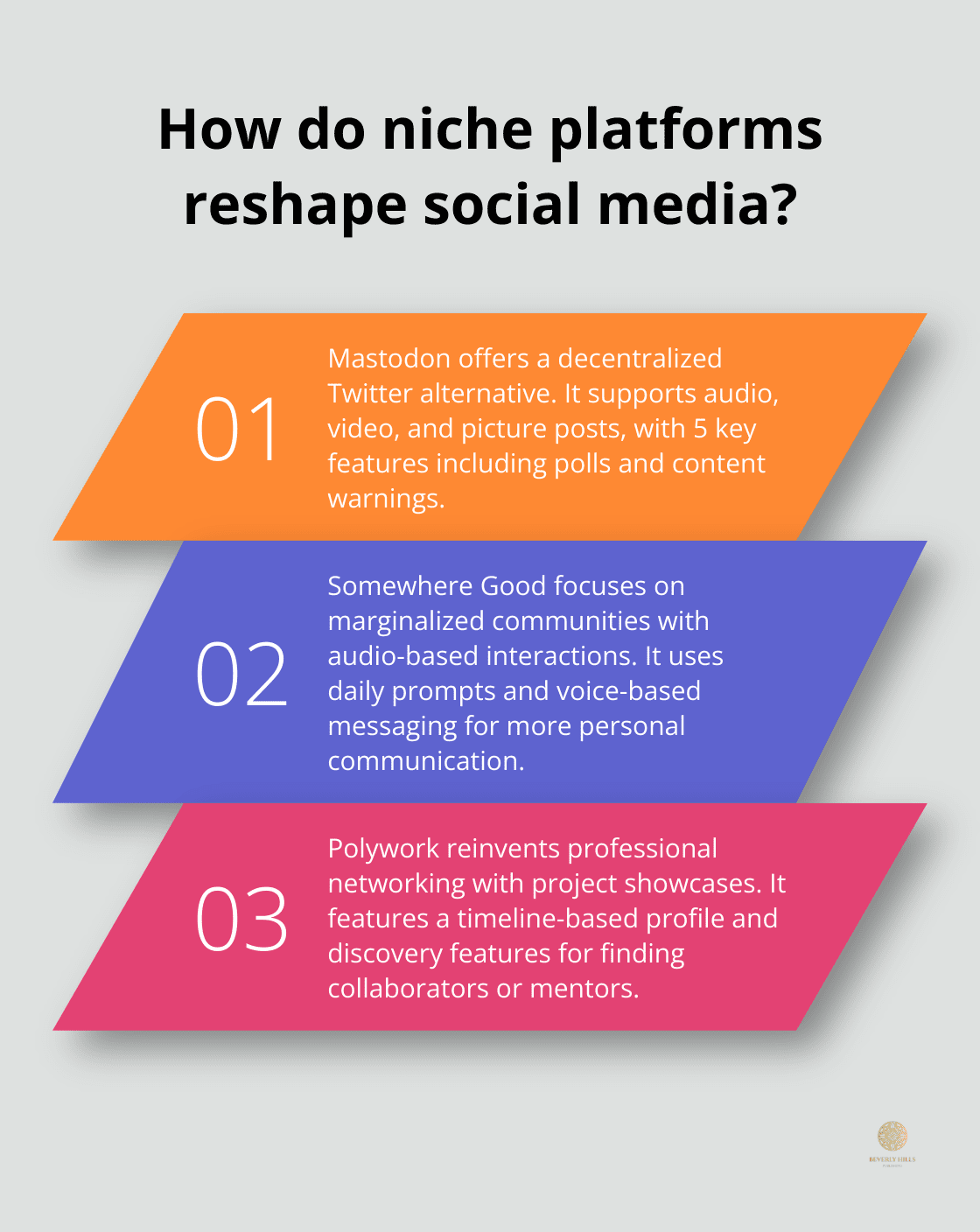 Infographic: How do niche platforms reshape social media? - cool new social media apps